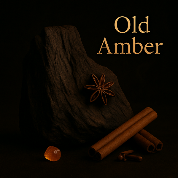 Old Amber - Luxury Solid Perfume